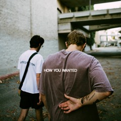 HOW YOU WANTED (with Ben Provencial)