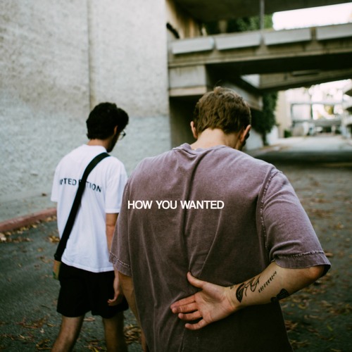 HOW YOU WANTED (with Ben Provencial)