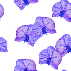 I Overlooked an Orchid Cover - Brooke McLeod