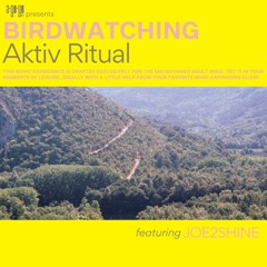 Aktiv Ritual - Birdwatching (RITUALISTIK Remix by Joe2Shine)