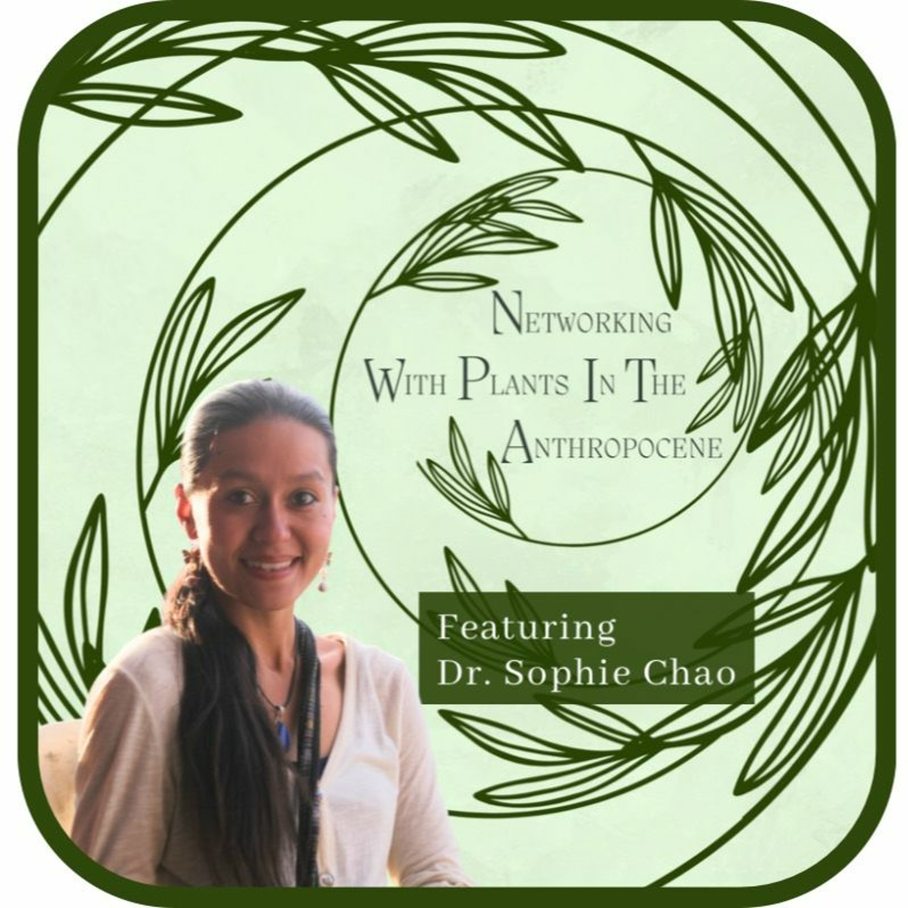 Podcast Networking with Plants in the Anthropocene