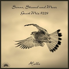 Sonne, Strand und Meer Guest Mix #229 by Holle