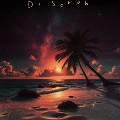 Playboi Carti - Half & Half (DJ Scrob Remix)