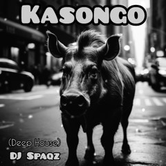 DJ Spaqz - Kasongo (Deep House)