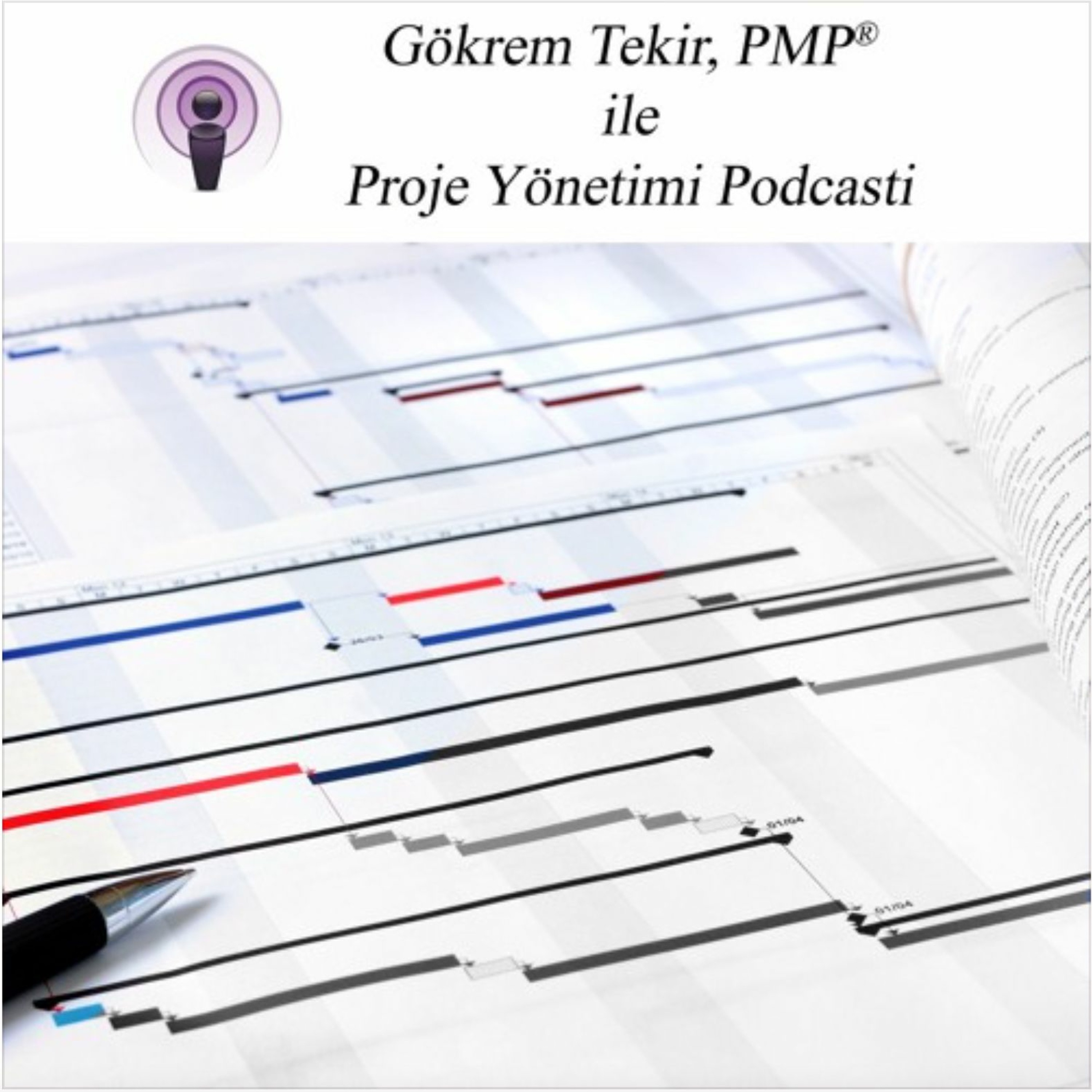 Proje Yönetimi