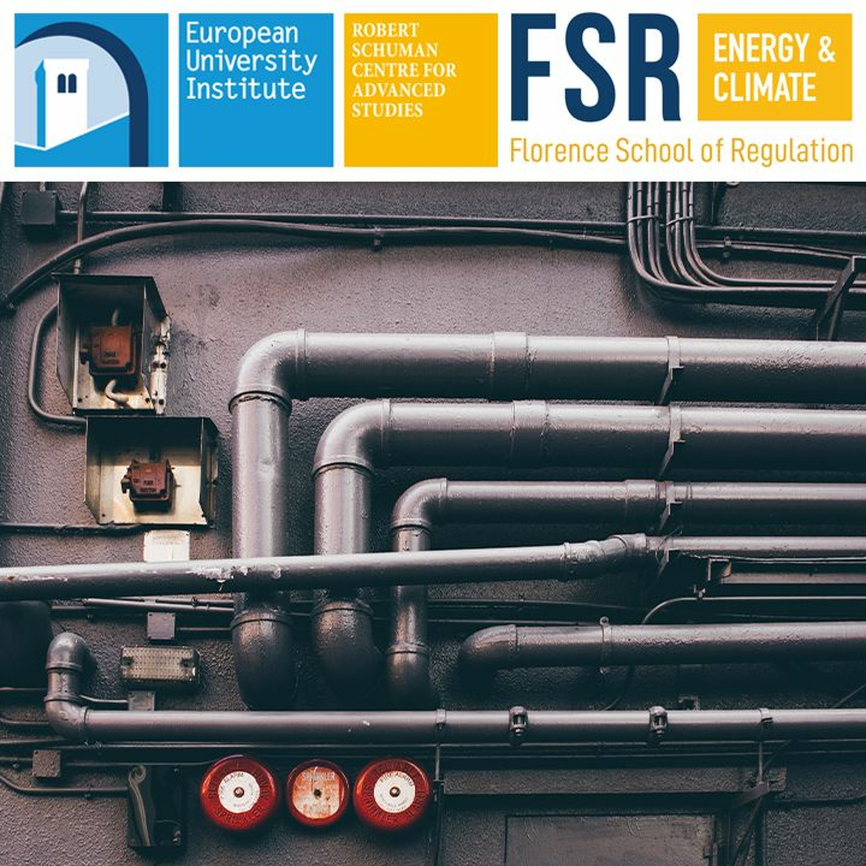 The Role Of The Energy Solidarity Principle And FDI Screening In EU Energy Law & Policy episode artwork