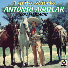 Alta y Delgadita