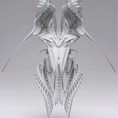 yung dodo-lost network