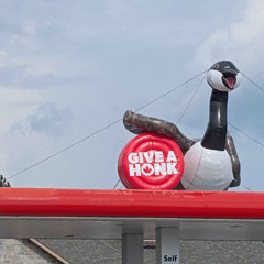 Homophobic This, Transphobic That, Bitch Just Let Me Eat My Waffles