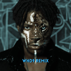 Premiere: In Amsterdam (WHD9 Remix) [Free Download]