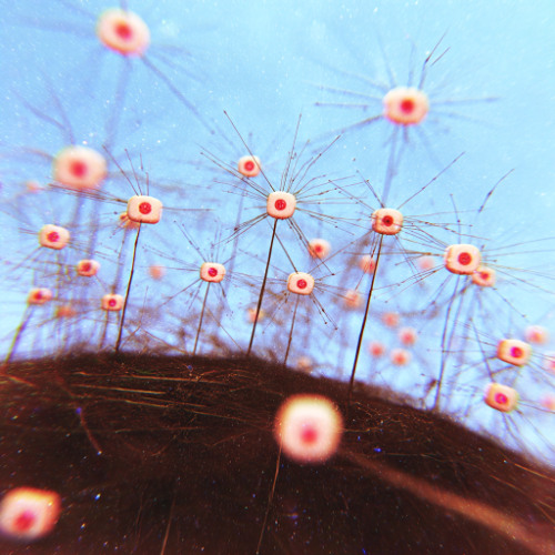 everyday (11-26-25)  crusty specs