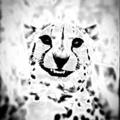 ода о тяжелом джуге