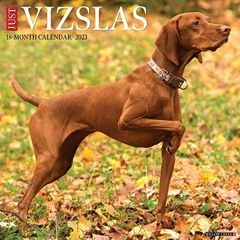 [FREE] KINDLE 📗 Just Vizslas 2023 Wall Calendar by  Willow Creek Press [EBOOK EPUB K