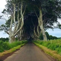 Days Of The New full songs & rare, unreleased stuff