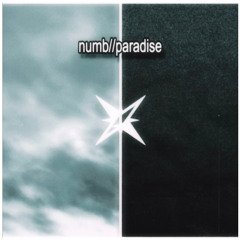 numb//paradise