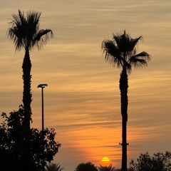 Break Thou the Bread of Life-Hymn 806 🌺 Hoy Parte El pan Señor-Himno 342 🌸