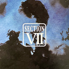 Section VII