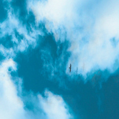 Skytrace