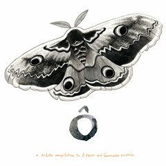 The Drink Up, Honey - Hors-Terre