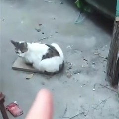 further it (Edit version)