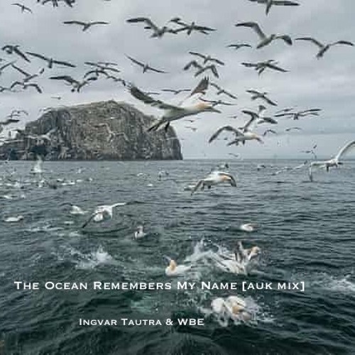 The Ocean Remembers My Name [Auk mix] - Ingvar Tautra | WBE