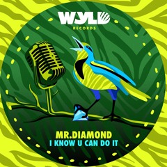 Mr. Diamond - I Know U Can Do It