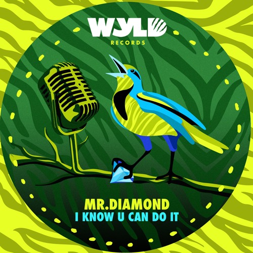 Mr. Diamond - I Know U Can Do It