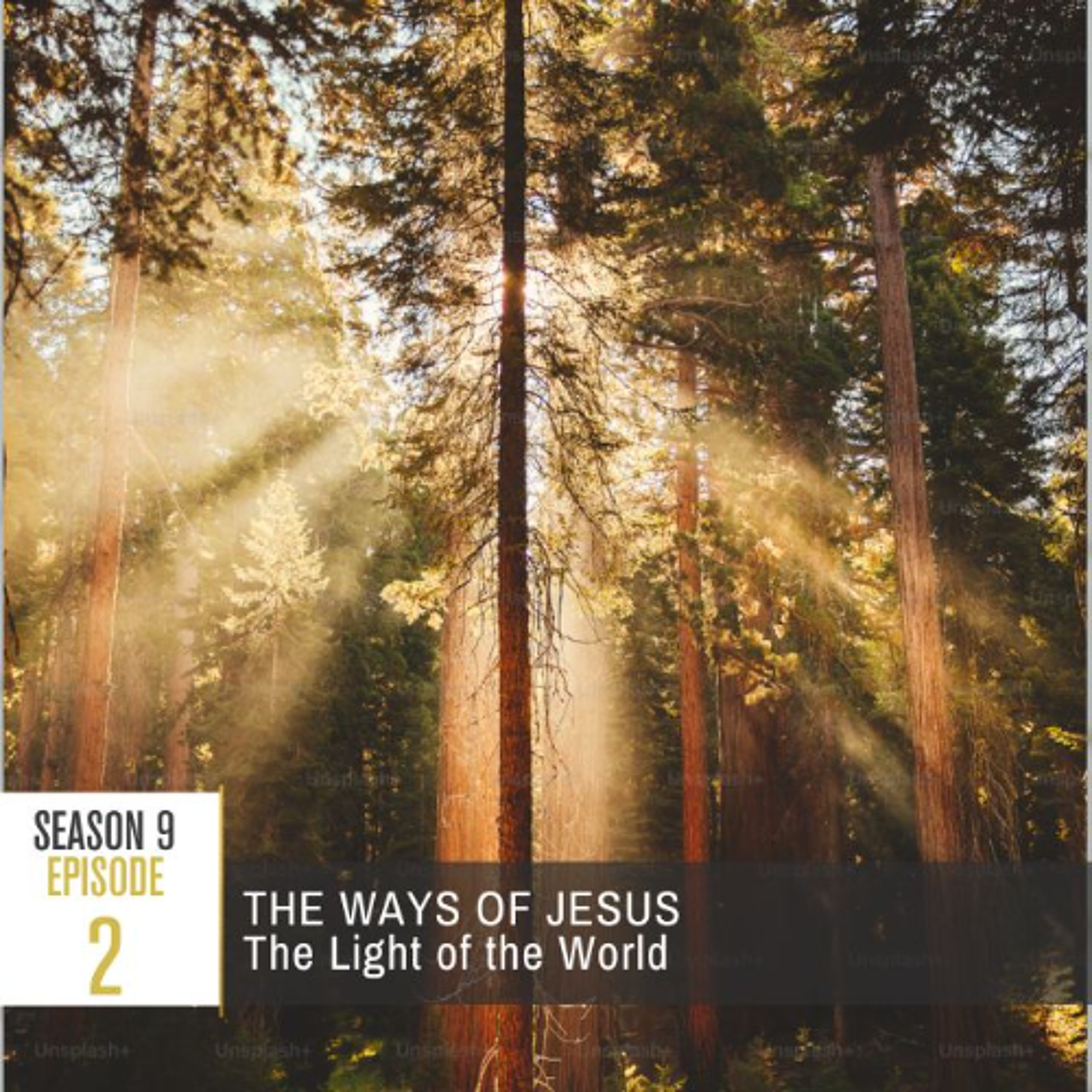 Paying Ridiculous Attention to Jesus