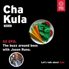 Episode 2: The buzz around bees with Jason Runo