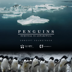 Survival | Penguins - Survival in Antarctica - Concept Project