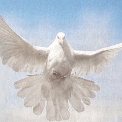 RIGHT NOW RIGHT HERE