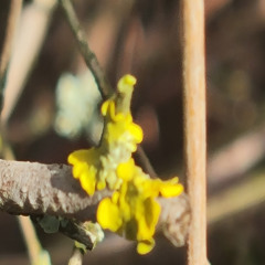SechsUndZwanzigsterZweiterFünfUndZwanzig