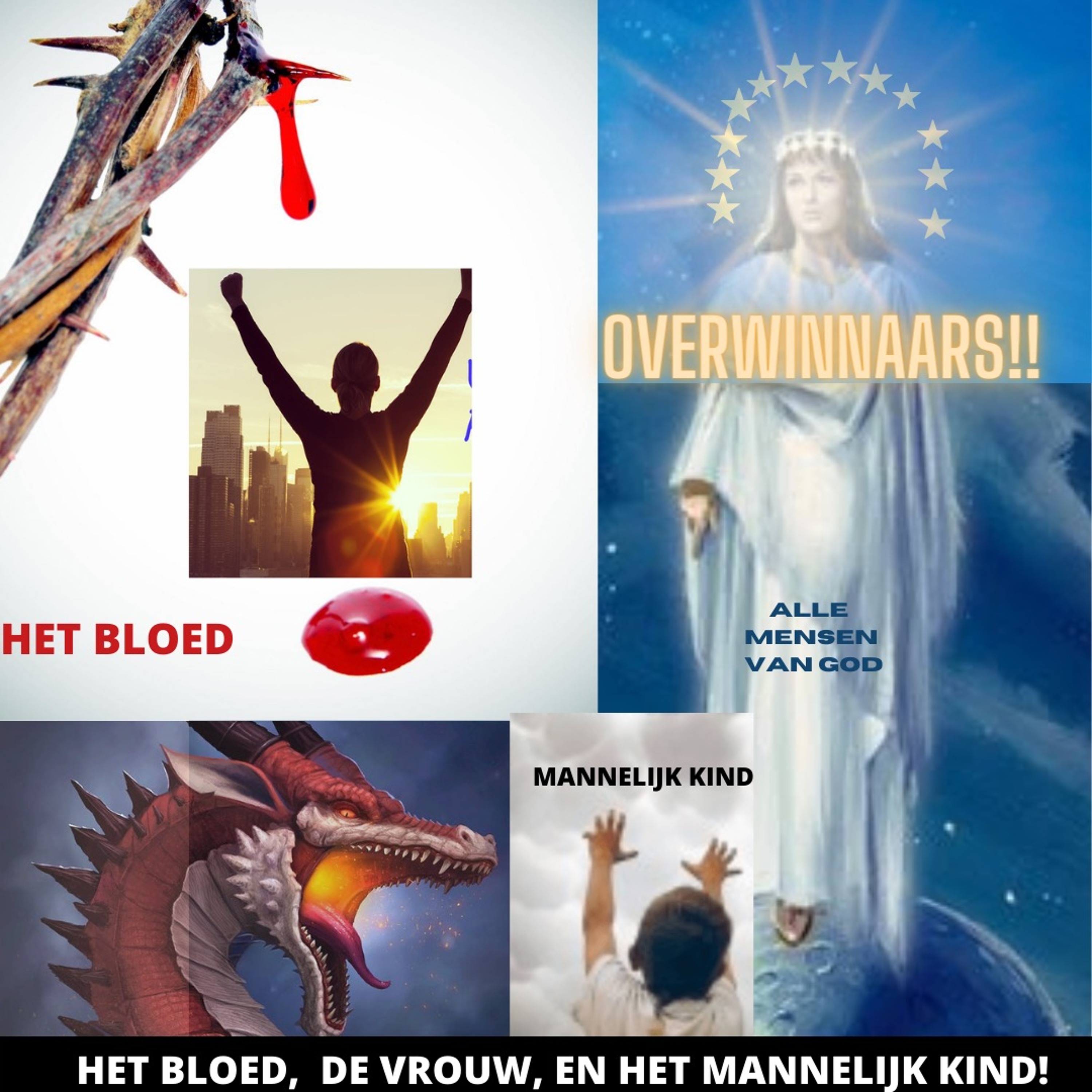 Samen Door De Bijbel