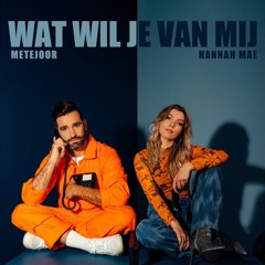 Metejoor, Hannah Mae - Wat Wil Je Van Mij (DJ Cervo Edit)