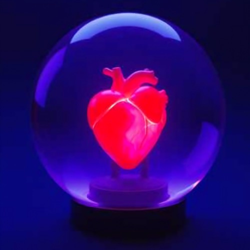 It's not so hard to see I'm falling in love with  you(Take me home tonight)