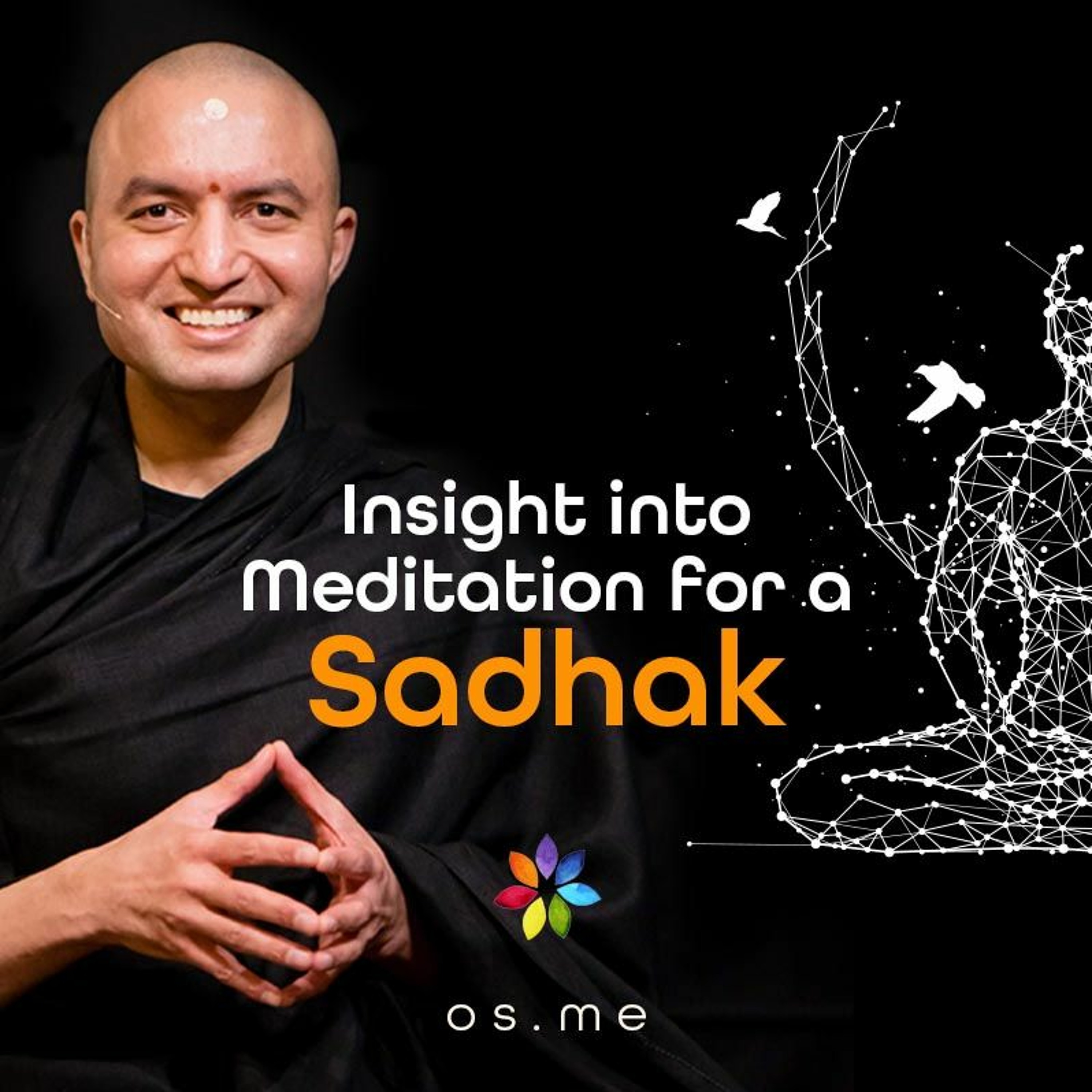 Insight Into Meditation For A Sadhak (Seeker)[Hindi]