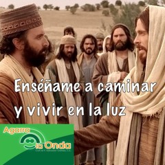 Evangelio de Hoy: 06/28/21-Lunes 13º Ordinario-Ciclo B-Mt 8, 18-22-Amigos De Jesús.