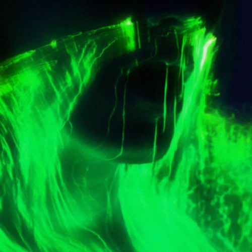 GAME-GREEN-FREESTYLE