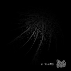 Dank Effect (FR) - [IN THE MIDDLE - EP]