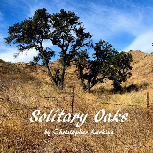 Solitary Oaks