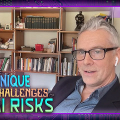 AI Risks, Application Performance - Padraic O'Reilly, Shibu George - BSW #339
