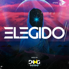 ELEGIDO 2025 #MEGUMI777# (DANGMUSIC)