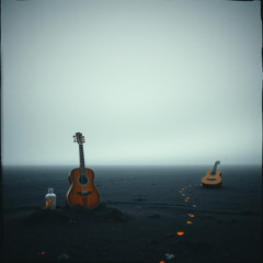 Where the Wolves Remember Me