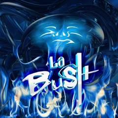 La Bush in a nutshell  27
