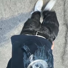 Lonesome p. (everydaysinner)