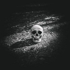 DENVER - SWIM (FREE DOWNLOAD)