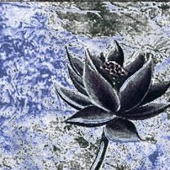 Lil Uzi Vert - Black Lotus (reprod. metr01d)