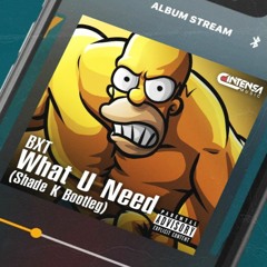 What U Need (Shade K Bootleg) [Ya disponible]