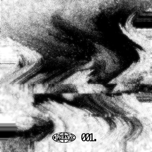 Echo