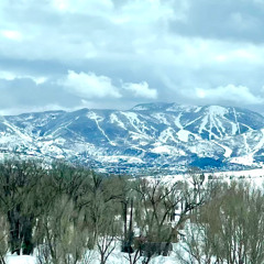Snow Trail in Steamboat